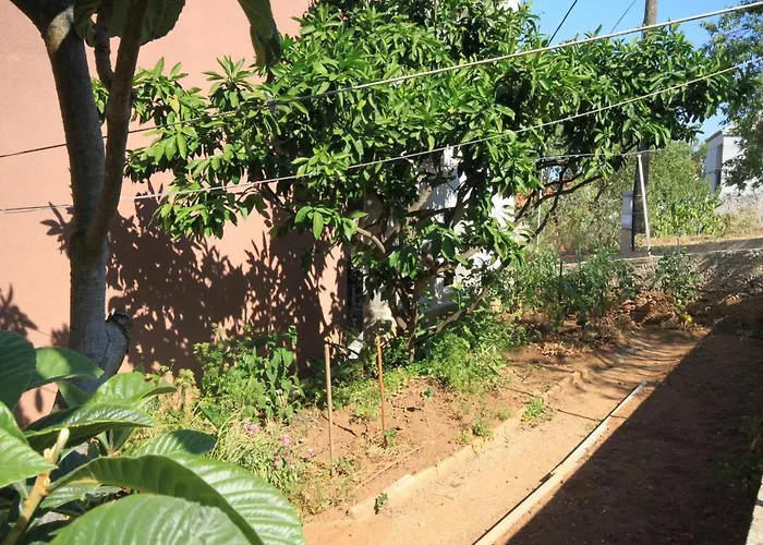 By The Sea Sali, Dugi Otok - 8156