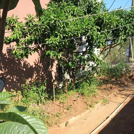 By The Sea Sali, Dugi Otok - 8156